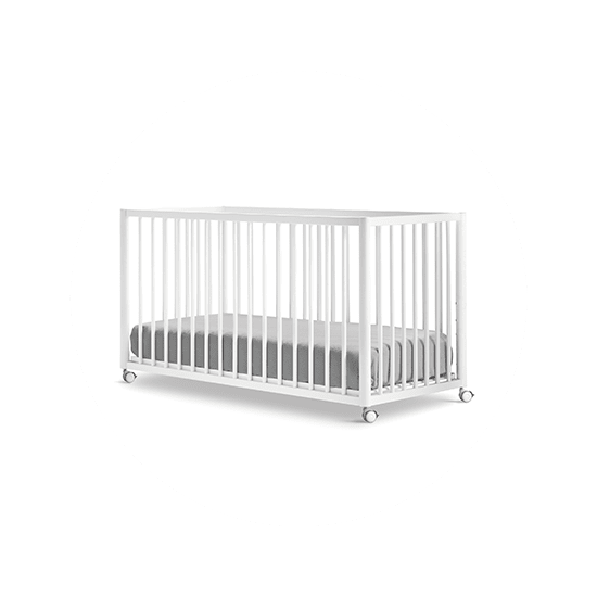 CUNA EVOLUTIVA TESORI...