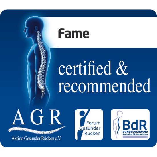 MAXI COSI FAME CAPAZO -...