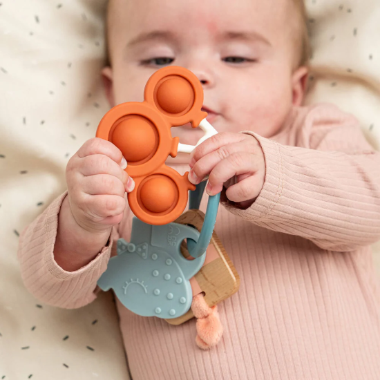 ANILLO DE ACTIVIDADES...