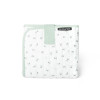 SET CAMBIADOR BIRDIES VERDE