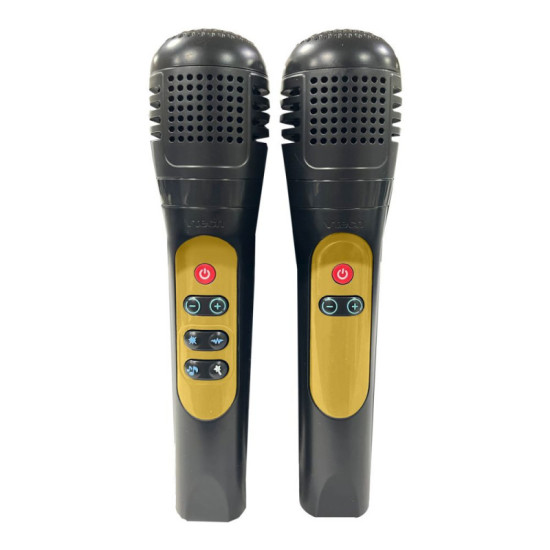 KARAOKE LIGHT PARTY DUO