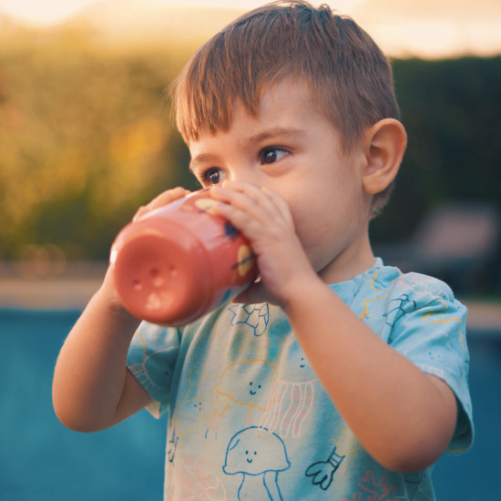 VASO APRENDIZAJE SIPPER...