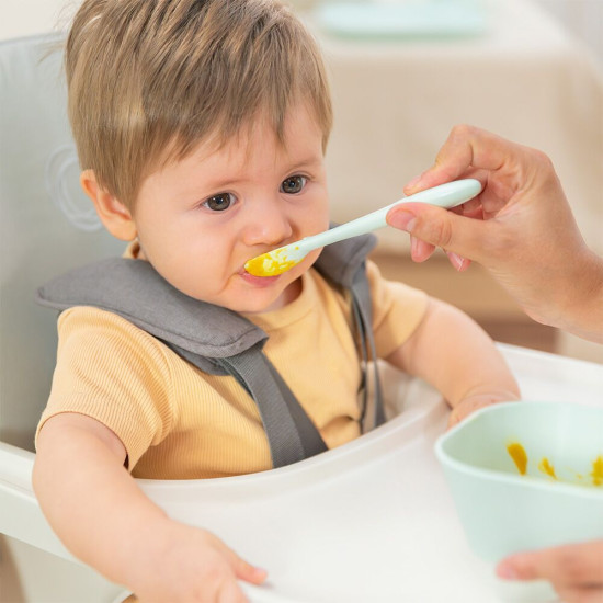 SET DE PLATO Y BOL...